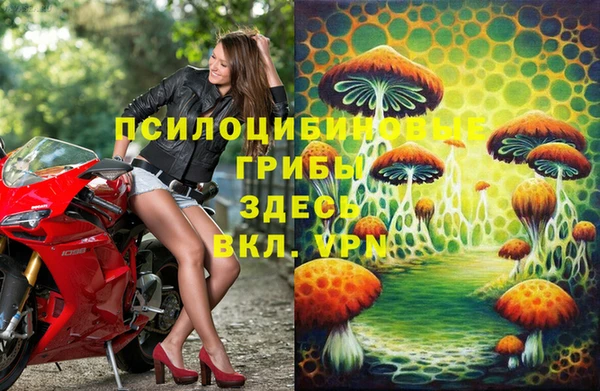 прущий лед Белокуриха