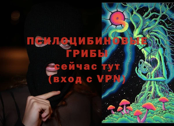 прущий лед Белокуриха