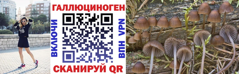 Псилоцибиновые грибы прущие грибы ОМГ ОМГ вход Горняк где найти наркотики