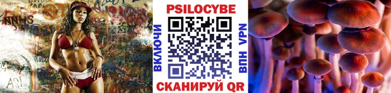 Псилоцибиновые грибы мицелий Горняк