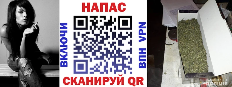 где продают наркотики  Горняк  Канабис White Widow 